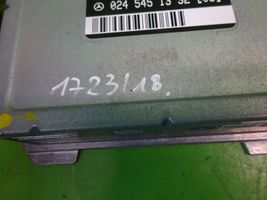 Mercedes-Benz C W202 Centralina/modulo motore ECU 0245451332