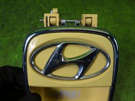 Hyundai i10 Enjoliveurs poignée de porte arrière 