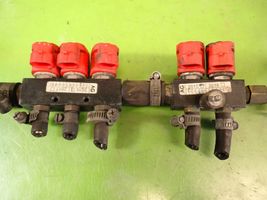 Volkswagen PASSAT B5 LP gas injector 67R-010104