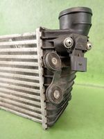 Volkswagen Golf IV Chłodnica powietrza doładowującego / Intercooler DAW001TT