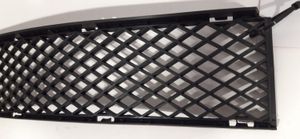 BMW 7 E65 E66 Grille inférieure de pare-chocs avant 7135573