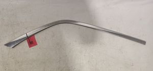 Chrysler 300C Front door trim (molding) 