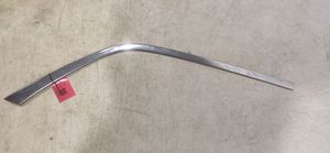 Chrysler 300C Front door trim (molding) 