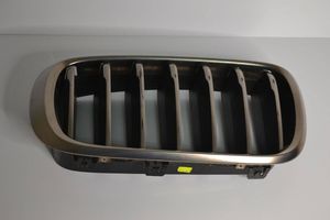 BMW X6 F16 Front grill 7349388