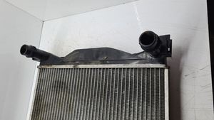 Seat Exeo (3R) Dzesēšanas šķidruma radiators 