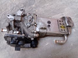 Seat Exeo (3R) EGR dzesētājs V29009967