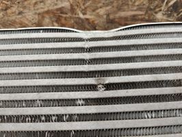 Ford Fusion II Intercooler radiator HG936K775AA