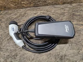 Ford Mustang VI Kabel do ładowania samochodu elektrycznego LJ9810F868BK