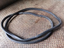 Opel Mokka Front door rubber seal 