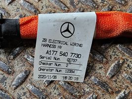 Mercedes-Benz A W177 Autres faisceaux de câbles A1775407730