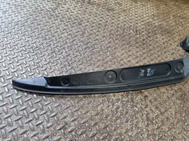 Dodge Challenger Other front door trim element 55399152AB