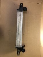 BMW X1 F48 F49 Starpdzesētāja radiators 1751761759706