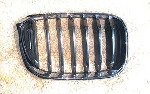 BMW X3 G01 Front grill 51138091726