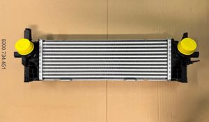 BMW X6 G06 Radiatore intercooler 17518584127