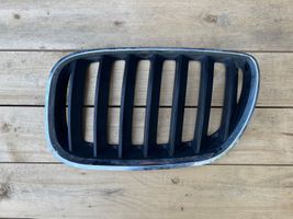 BMW X5 E53 Maskownica / Grill / Atrapa górna chłodnicy 51137124815