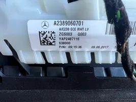 Mercedes-Benz E W238 Galinių žibintų komplektas A2389062101