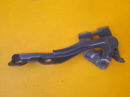 Hyundai ix20 Engine bonnet/hood hinges 