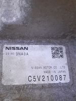 Nissan Leaf I (ZE0) Presa di ricarica per auto elettriche 291A03NA0A