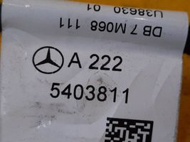 Mercedes-Benz S W222 Wiązka przewodów drzwi tylnych A2225403811