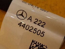 Mercedes-Benz S W222 Cablaggio/alloggiamento cablaggio della portiera anteriore A2224402505