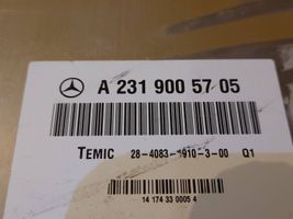 Mercedes-Benz SL R231 Oro pakabos valdymo blokas (galinės) A2319005705