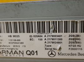 Mercedes-Benz S C217 Mascherina unità principale autoradio/GPS A2179003401