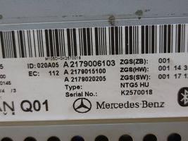Mercedes-Benz S C217 Mascherina unità principale autoradio/GPS A2179006103