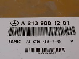 Mercedes-Benz E W213 Ilmajousituksen ohjainlaite/moduuli, takana A2139001201