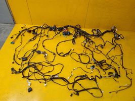 Renault Express Left interior wiring harness 244104183R