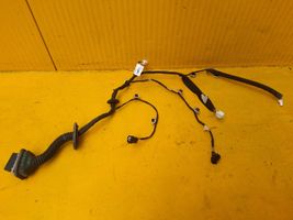 Renault Express Front door wiring loom 241244823R