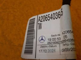 Mercedes-Benz C W206 Faisceau de câblage de porte avant A2065403645