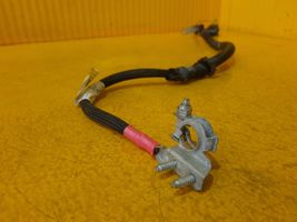 Fiat 500L Positive cable (battery) FG1H814110
