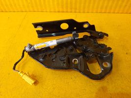 Volkswagen Touareg III Cerniere del vano motore/cofano 760823302F