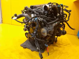 Ford Ranger Moottori SA2S
