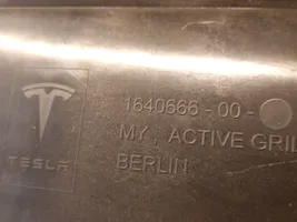Tesla Model Y Kratka wlotu powietrza na maskę 164066600
