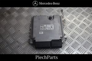 Mercedes-Benz B W245 Galios (ECU) modulis 