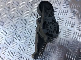 Volkswagen Golf V Napinacz paska wielorowkowego / Alternatora 03G903315D