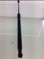 Volkswagen PASSAT B6 Tailgate strut 3C9827550A