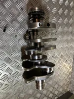 Audi A4 S4 B7 8E 8H Crankshaft 