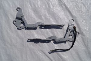 BMW 3 E92 E93 Cerniere del vano motore/cofano 7115263