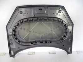 Borgward BX7 Engine bonnet/hood 