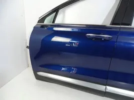 Hyundai Santa Fe Front door 