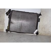 Hyundai i20 (PB PBT) Radiateur de chauffage 