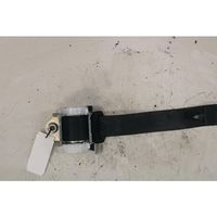 Seat Ibiza IV (6J,6P) Rear seatbelt 