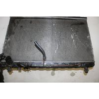 Hyundai Santa Fe Heater blower radiator 