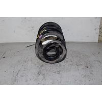 Renault Koleos I Rear coil spring 