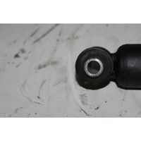 Lancia Ypsilon Rear shock absorber with coil spring 