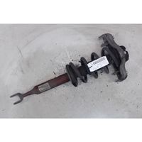 Audi A4 S4 B7 8E 8H Ammortizzatore anteriore 