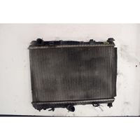 Ford Fiesta Mazais radiators 