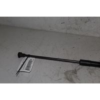 Opel Antara Rear window strut damper 